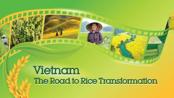 Vietnam - The Road to Rice Transformation