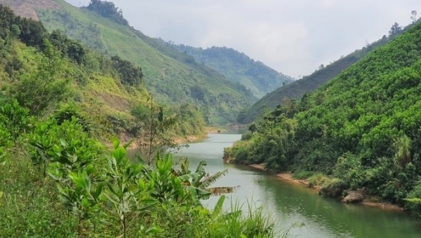 Reasons for Quang Nam’s forest carbon credits unsold