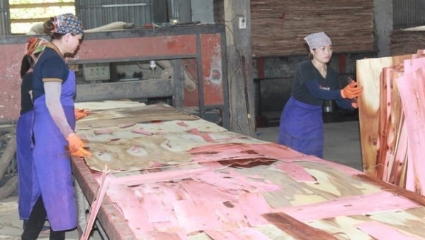 Export wood processing industry revives