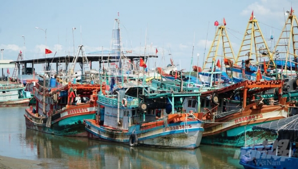 Anti-IUU fishing for the future of Vietnam fisheries: Strong actions against fishing vessels