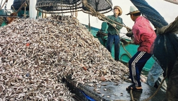 A look into the Government's Action Program against IUU fishing