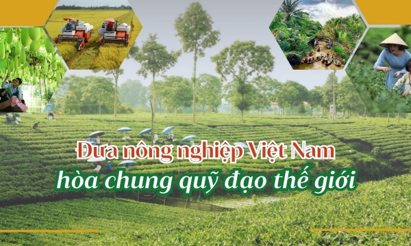 Đưa nông nghiệp Việt Nam hòa chung quỹ đạo thế giới