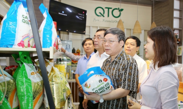 Gạo hữu cơ 'vô cùng sạch' của Quảng Trị bước ra thị trường