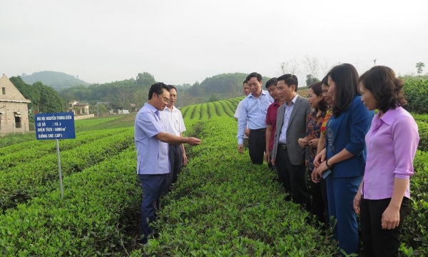 Phát triển HTX nông nghiệp chuyển biến mạnh ở Thái Nguyên