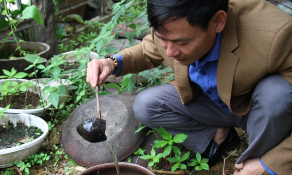 Chương trình OCOP tại Nghệ An:  Nỗ lực vun trồng, quả ngọt xứng đáng