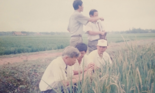 The story of Minister Nguyen Cong Tan bringing hybrid rice into Vietnam