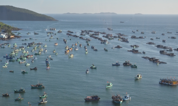 Các tỉnh ven biển cần xử lý nghiêm tàu cá khai thác hải sản trái phép