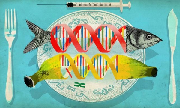 Chúng ta phải vượt qua nỗi sợ hãi chỉnh sửa gen