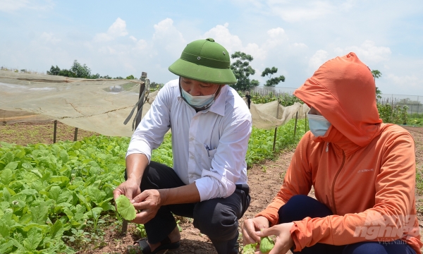 How can Hanoi reduce the use of crop protection agents?