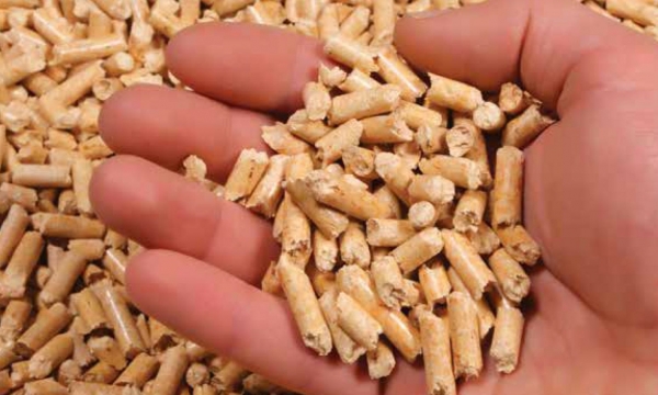Vietnam is the world’s second-largest pellets exporter