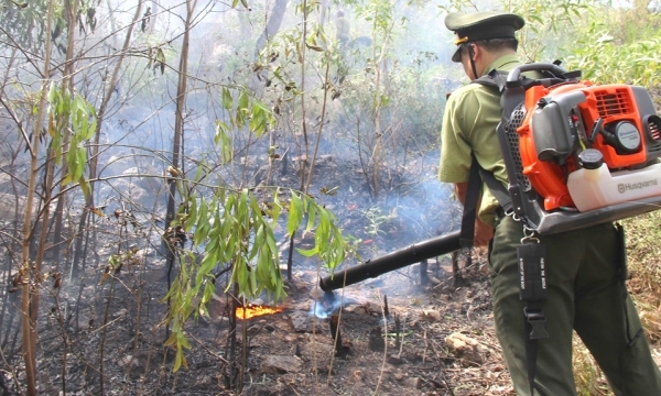 87,000 ha of forests face high risk of fire in dry season