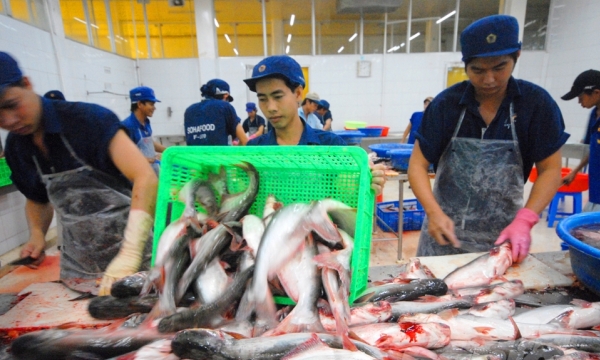 Seafood exports by the end of the year depend on vaccination