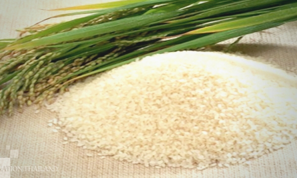 Gạo Jasmine tốt cho sức khỏe ra sao, nên dùng loại nào?