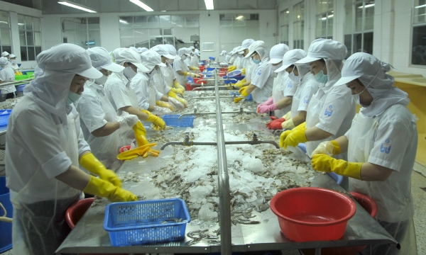 Binh Dinh: Fishery enterprises bustling about meeting orders