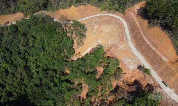 Vườn Quốc gia Phja Oắc - Phja Đén bị lấp trái phép với quy mô lớn