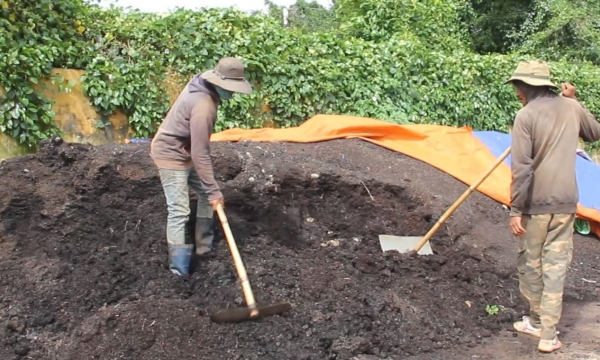 Exercising standard process on producing organic fertilizer from coffee shells