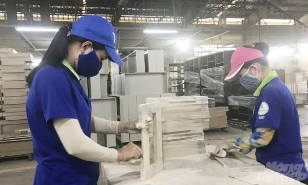 Wood exports to China grow impressively