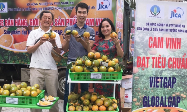 30% of Vinh oranges stamped with traceability