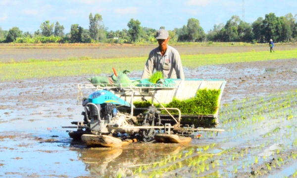 Ghi dấu nhiều tiến bộ của nông dân canh tác lúa ở ĐBSCL