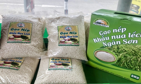 Bắc Kạn có 8 sản phẩm đạt giải “Thương hiệu vàng nông nghiệp Việt Nam”