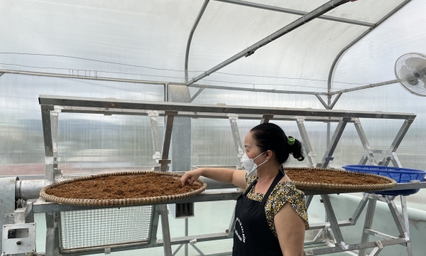 OCOP cho các sản phẩm nông nghiệp: Hướng đi bền vững của Krông Pa