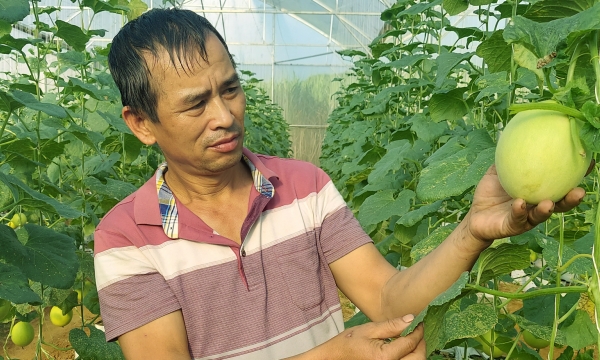 Khởi xướng nông nghiệp công nghệ cao vùng đất khó xứ Thanh