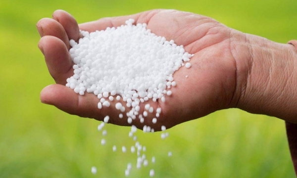 How will fertilizer prices change in the future?