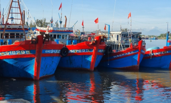 Quang Ngai: Changes seen in the effort to get the IUU ‘yellow card’ removed