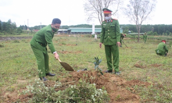 Trại giam Bình Điền trồng hàng chục ngàn cây xanh