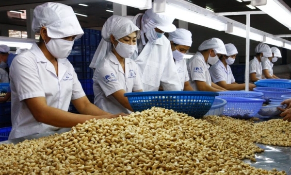 36 cashew containers exported to Italy without origin invoices