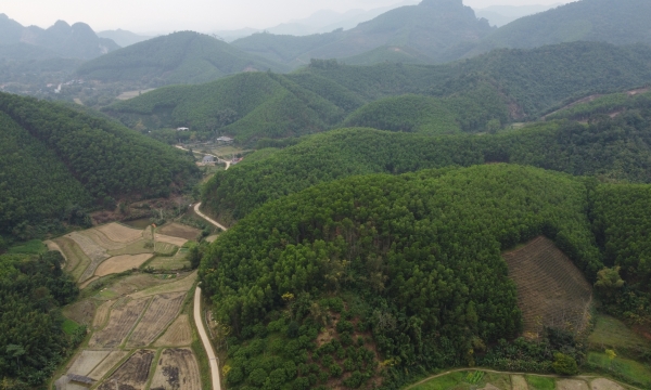 Afforestation and forest protection in Bac Kan province