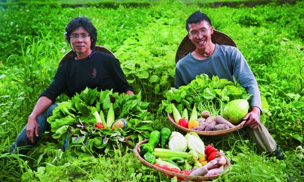 Nông nghiệp hữu cơ, 'chìa khóa' mở cửa thị trường Nhật Bản
