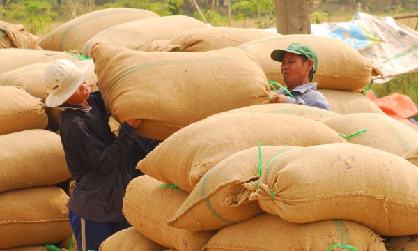The VnSAT project promotes Mekong Delta rice brands