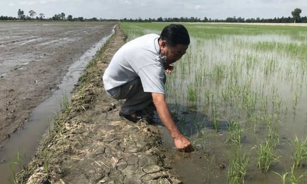 VnSAT project helps farmers reduce burden in 'materials price storm'