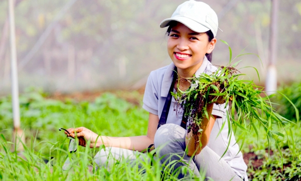 Young people are charmed by green agriculture: A stubborn little girl