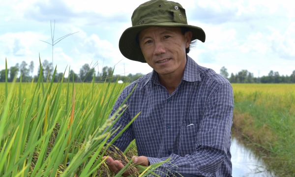 'Anh Ca lúa tím' với giải Nhất cuộc thi Chuyển đổi nông nghiệp bền vững