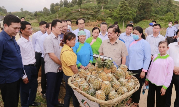 Lao Cai asked to make agricultural innovations