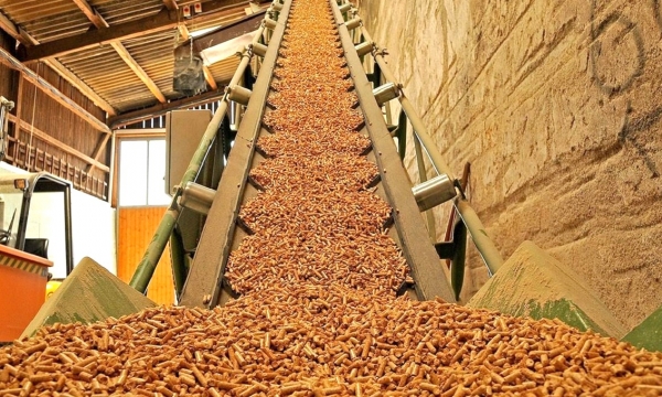 Wood pellets - a potential product of the wood processing industry