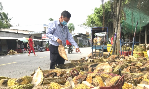 Reducing waste by making compost out of durian husks