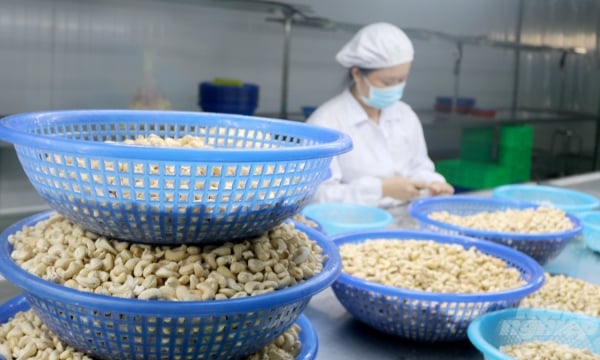 Global inflation impacts export of key agricultural products of Vietnam