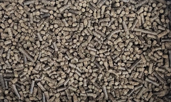 Positive outlook of making fuel pellets out of elephant grass