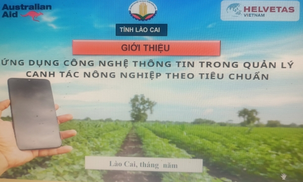 Lào Cai: 50% doanh nghiệp, HTX ứng dụng công nghệ số