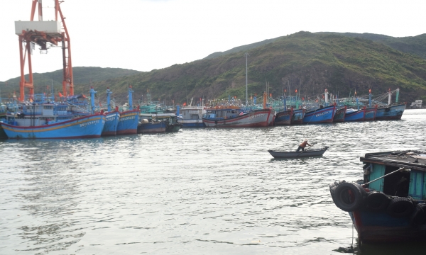 Fishing boats stay ashore due to high fuel costs