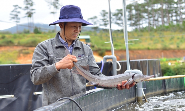 Những công nghệ nuôi trồng thủy sản hiện đại nhất đã có ở Lâm Đồng