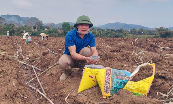 Xây dựng 'cẩm nang' sử dụng đất nông nghiệp xứ Thanh