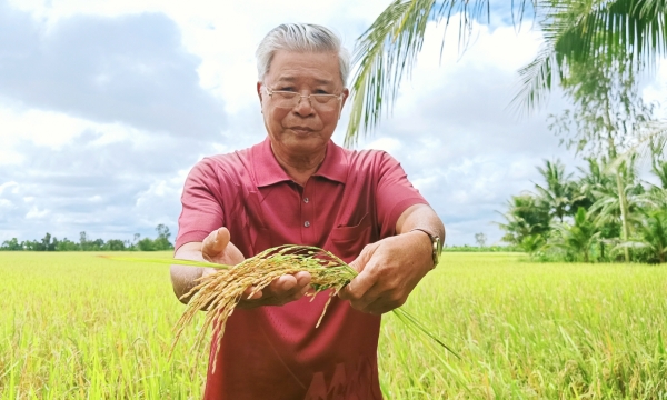 IRRI’s 10-year journey of closing rice yield gaps comes to an end