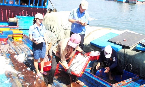 Kiểm tra sản phẩm thủy sản đánh bắt ngay tại các cảng cá