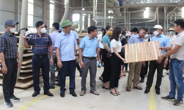 Quang Tri with the goal to become 'capital' of wood industry in central region