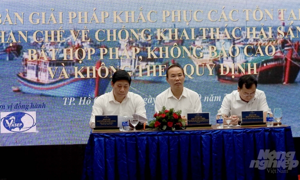 Over 700 Vietnamese fishermen seized for violating foreign waters since the beginning of this year