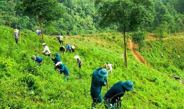 Vietnam is capable of competing in the market of high-quality carbon credits